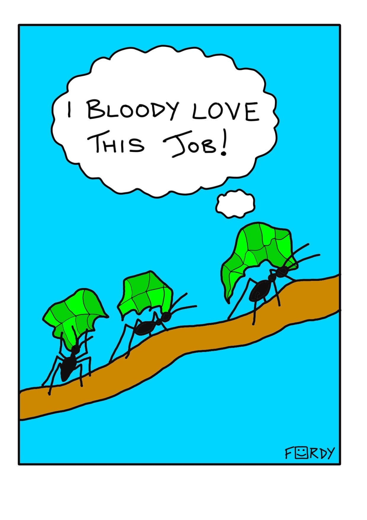 Leaf Cutter Ants